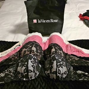 La Vie En Rose Elegant Black and Pink Lace Bra